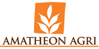86_client_amatheon